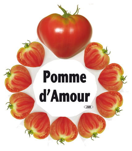 pomme damour