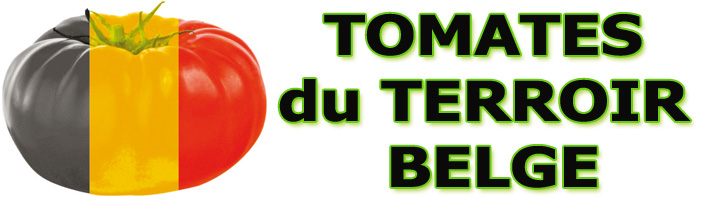 tomates terroir belge